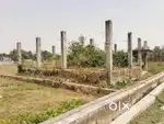 Golden Land for Sale