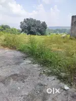 R3 plot available