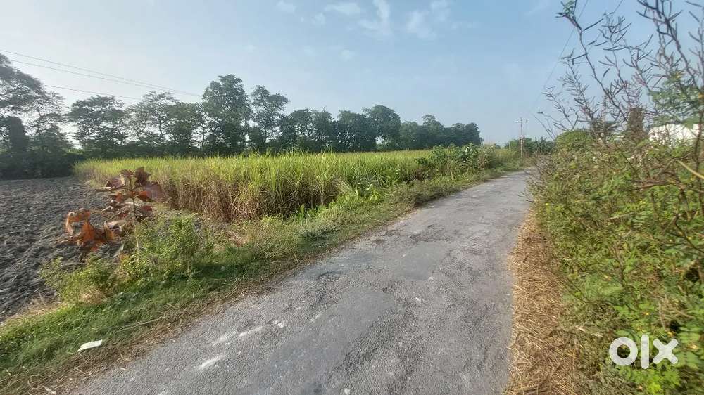 Opp.sarkari school for sale