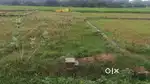 Plot for sell