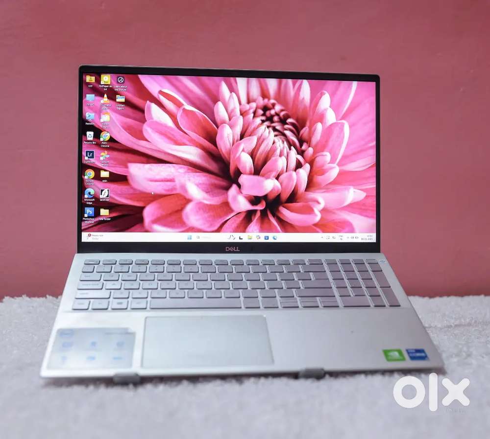 Dell Lap5502-15-11th/8GB