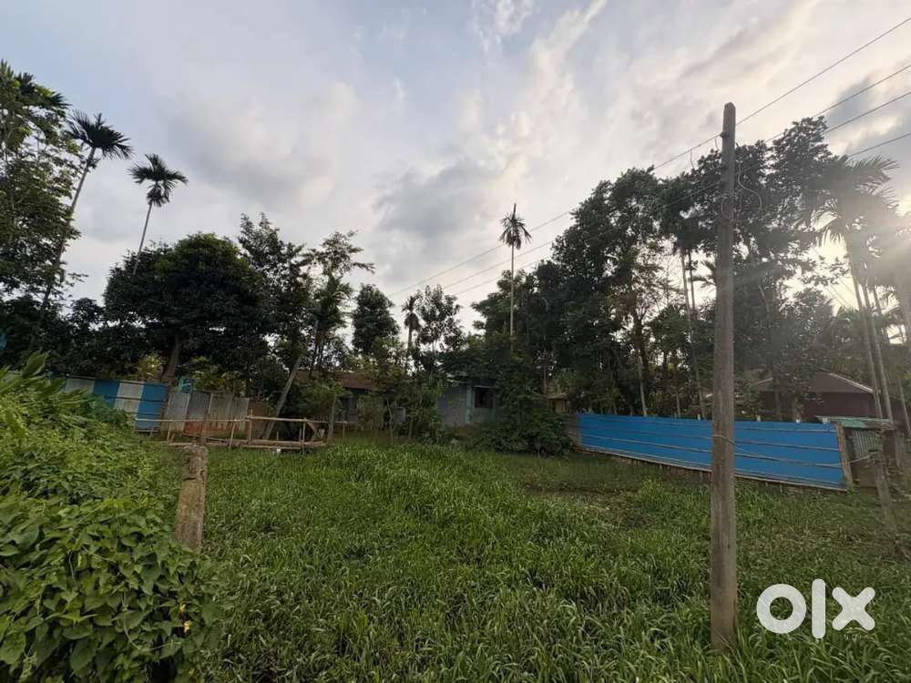 — ২ গণ্ডা জমি বিক্রি হবে আর্জেন্ট সেল।