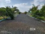 165 SQYDS DTCP APPROVED PLOT in 8 LAKHS only