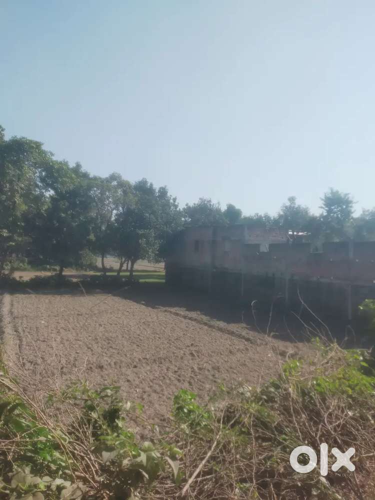 Rampur road sex lakh twenty five thousand per katha