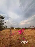 Best farmland near highway just 200m