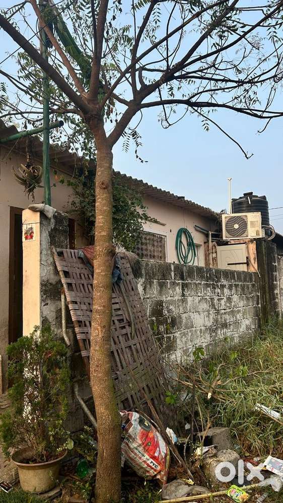 Individual house for rent