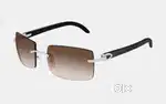 Cartier Sunglass / frame / eyeware BUY