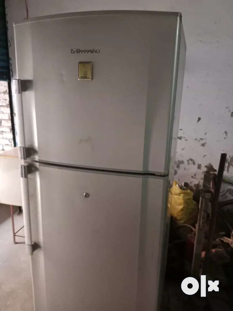 Electrolux refrigerator in excellent condition