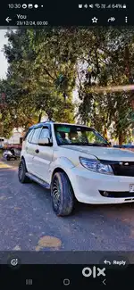 Safari Storme (JK02)