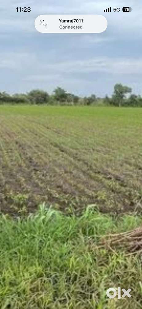 16 Acer agriculture land for urgent sell