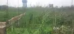 Vacant plot