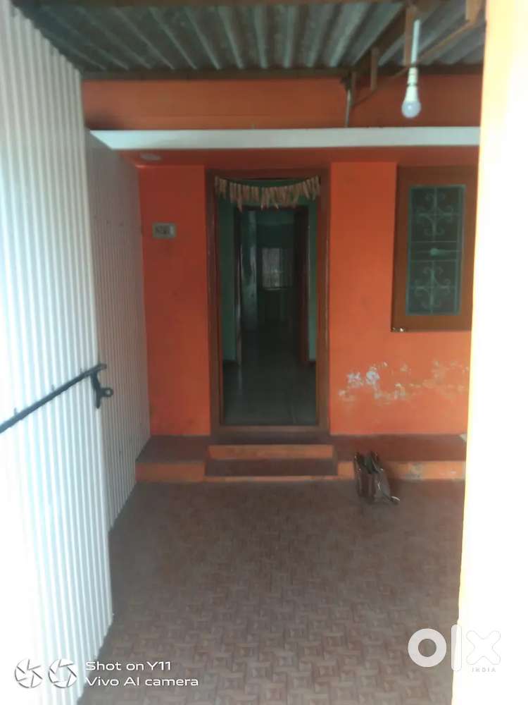 58-B shanthi Nagar mettupalayam