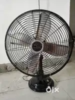 Cinni Super fast Fan