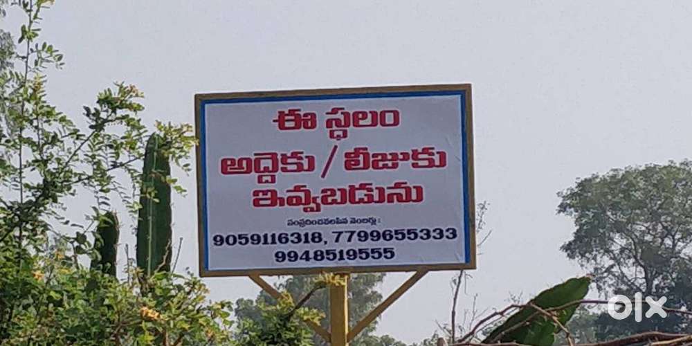 35cents residential land for sale rjy, janachaitanya layout, hukumpeta