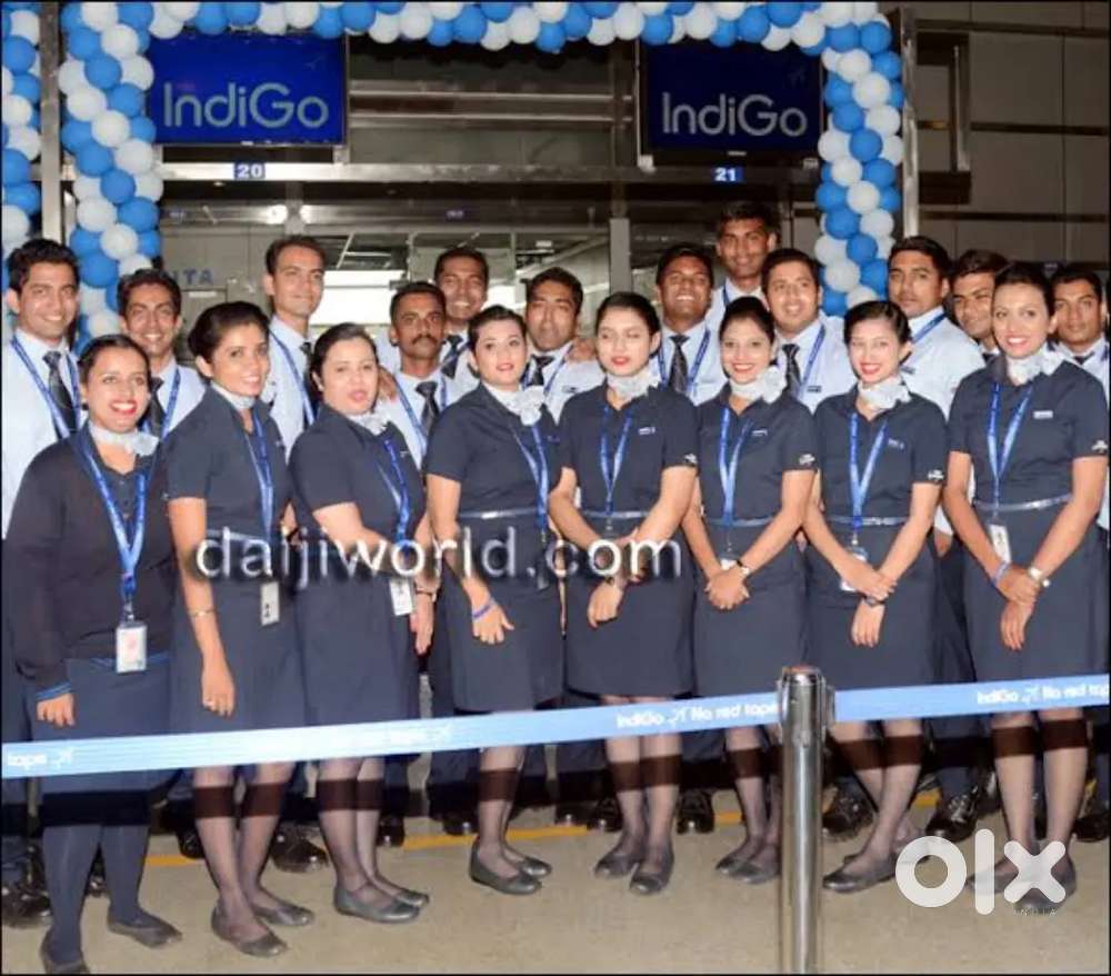 Male/Female candidates hiring for Airport ground staff job in Indigo