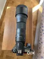 Sigma 150-600 mm Contemporary Lens with Canon Mount