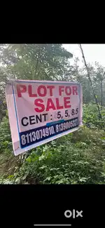 A good calm area to build your home. It will be also sold as plots.