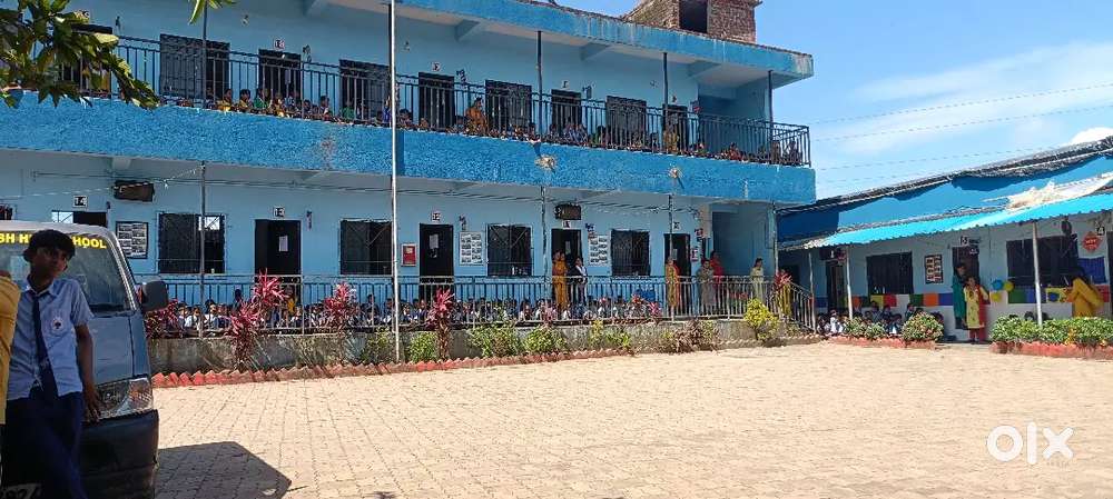 Social Studies teacher