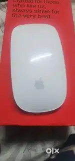 Apple Mouse