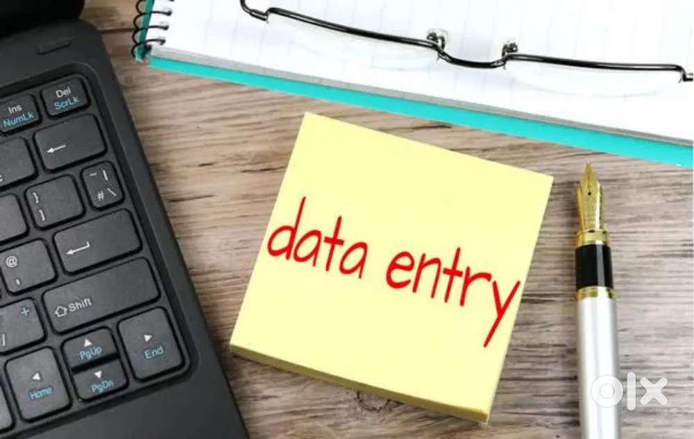 DATA ENTRY OPERATOR