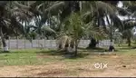 VSKP-SKLM Bhogapuram near clear title plots
