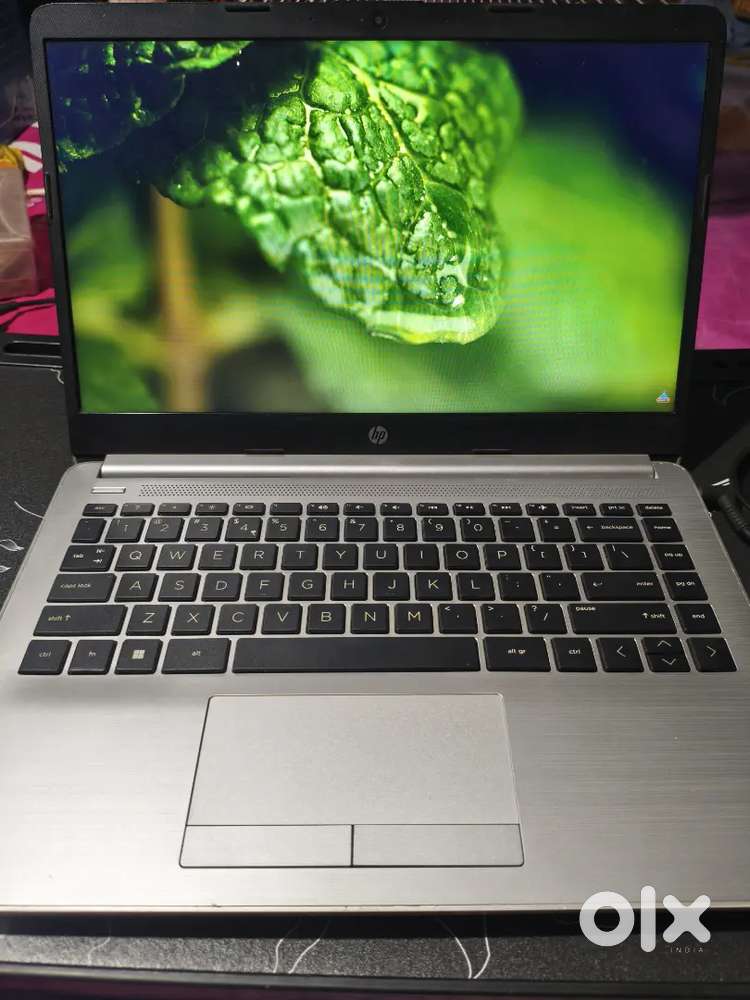 Hp Laptop 1Tb Windows 11