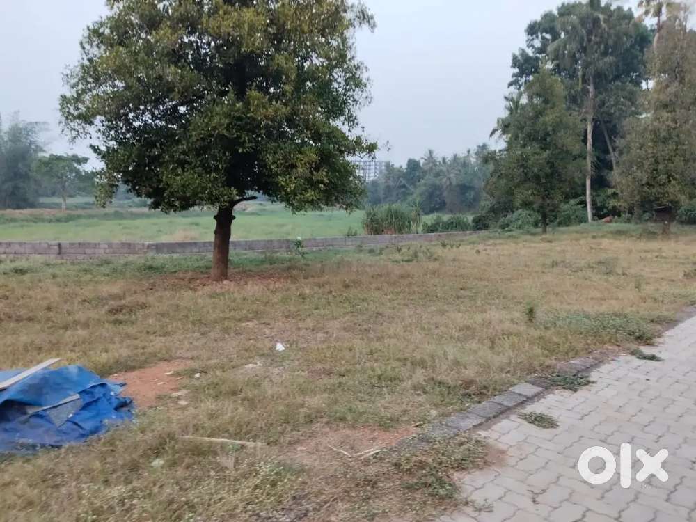 House plot for sale at Angamaly