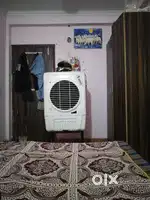Need one female room partner