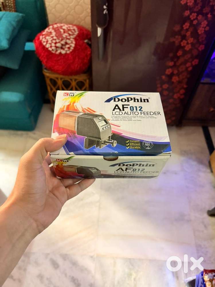 Aquarium 2ft Aquarium, filter, cupboard, difital auto feeder