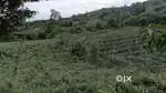 1.12 acre - kayanadu ooramana road-muvattupuzha