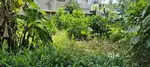6.200 CENT RESIDENTIAL PLOT FOR SALE NEAR KUDAPPANAKUNNU