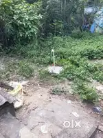 10 Decimil plot for Sale in Nayagarh