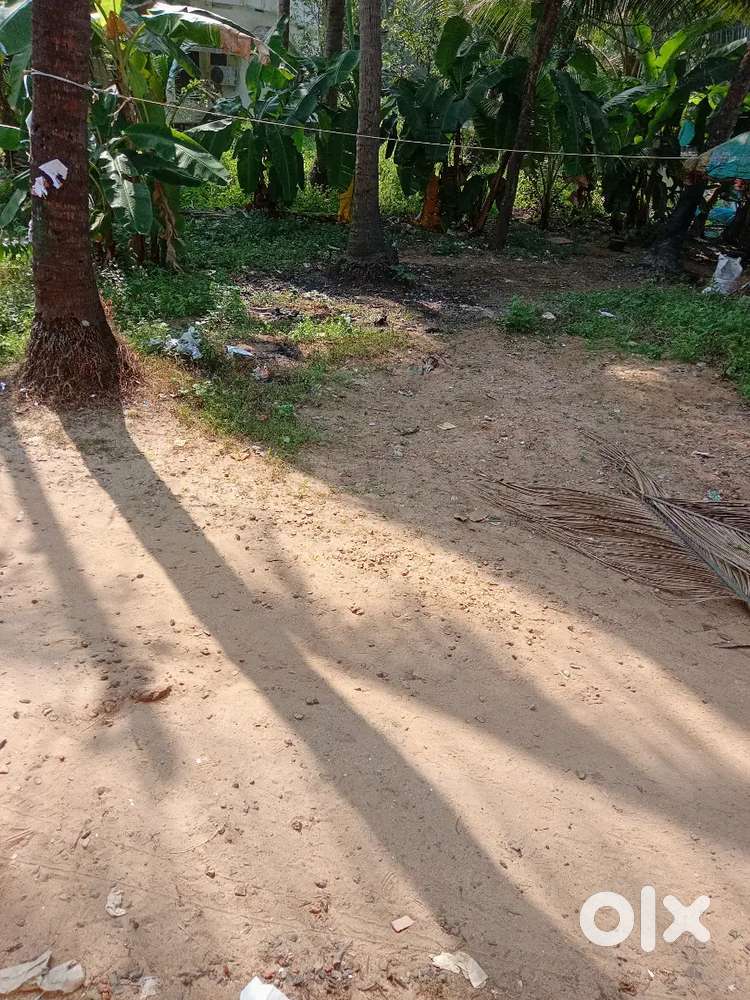 Rajar ban 3gondha Khali jaiga