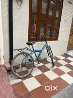 BUZZ CYCLE