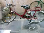 Ladies cycle for sale