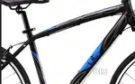 Cycle age - 2 years