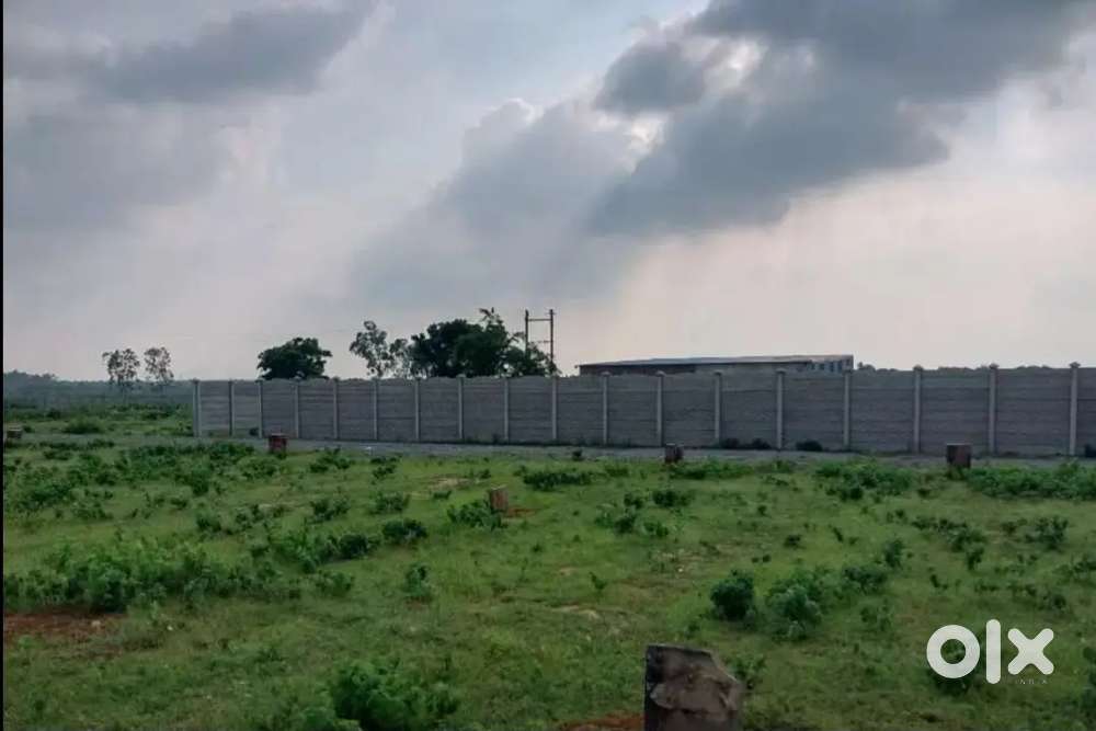 Plot near DPS school chaka katni