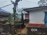 തൊടുപുഴ സ്മിത ഹോസ്പിറ്റലിൽ സമിപം