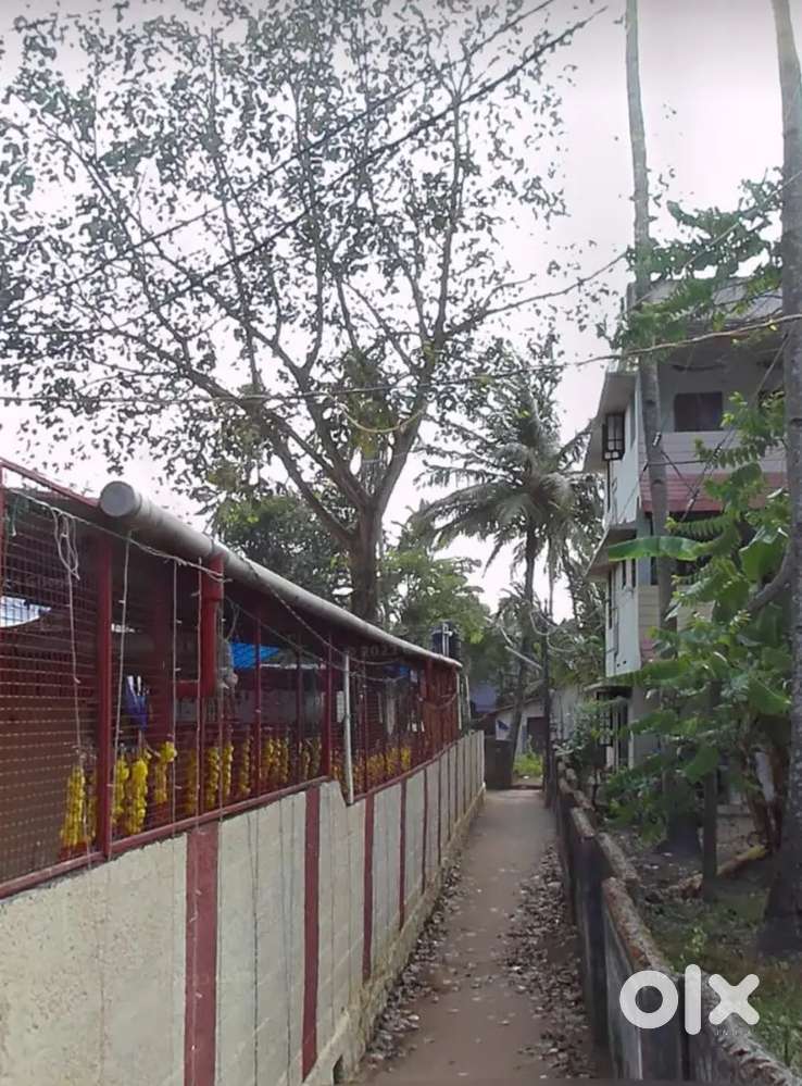 4.5 cent plot is for sale near Appopankaavu temple, pattathanam