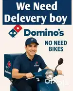 Domino's Delivery Partner