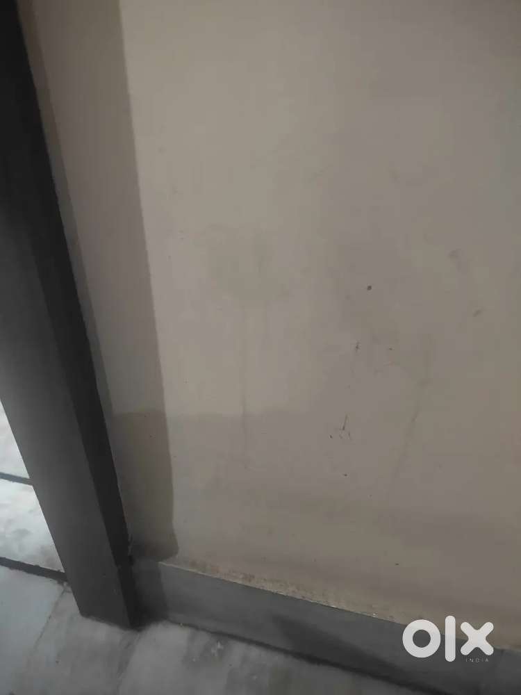 House for rental purpose