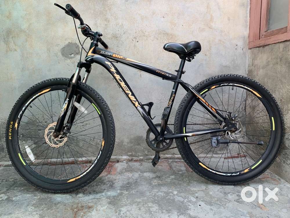 Phoenix bycycle with 29 inch tyre size