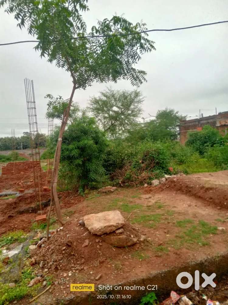 Best plot in . maihar ghurpura