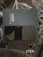 Vivo X60 12/256