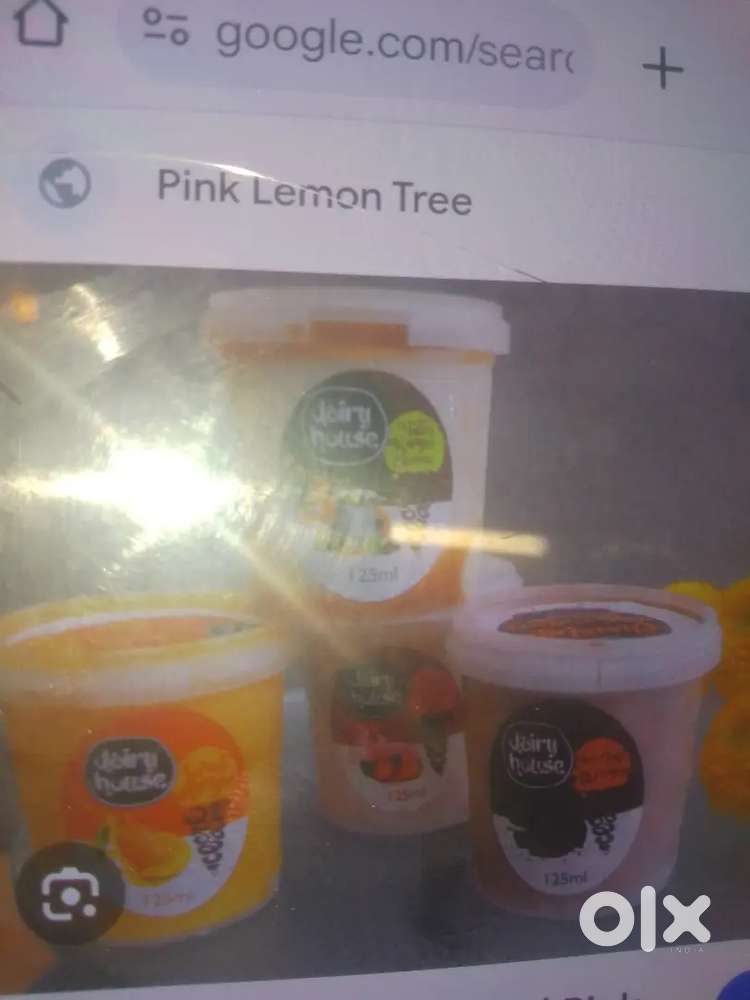 Dealer distributor_ Ice cream company