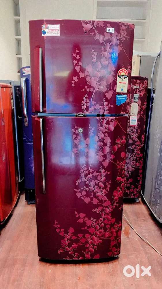 LG 253 L 5Star Frost-Free Double Door Refrigerator Free Delivery Stand