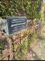 Plot for sale(Price per Cent-3.5lakh )