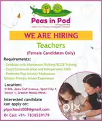 Maid/ Nanny required for Play School