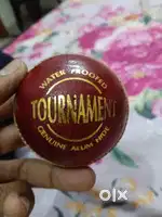 Sg leather ball