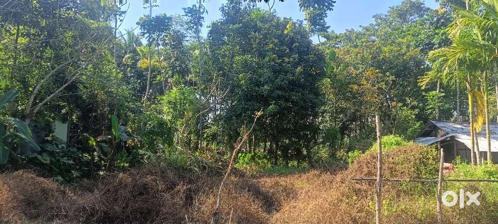 Lowest rate plot beside thakur nagar Main road